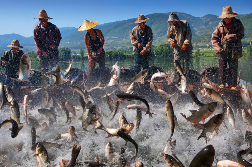 中国梦70周年绘画图片,70周年中国梦绘画作品图片