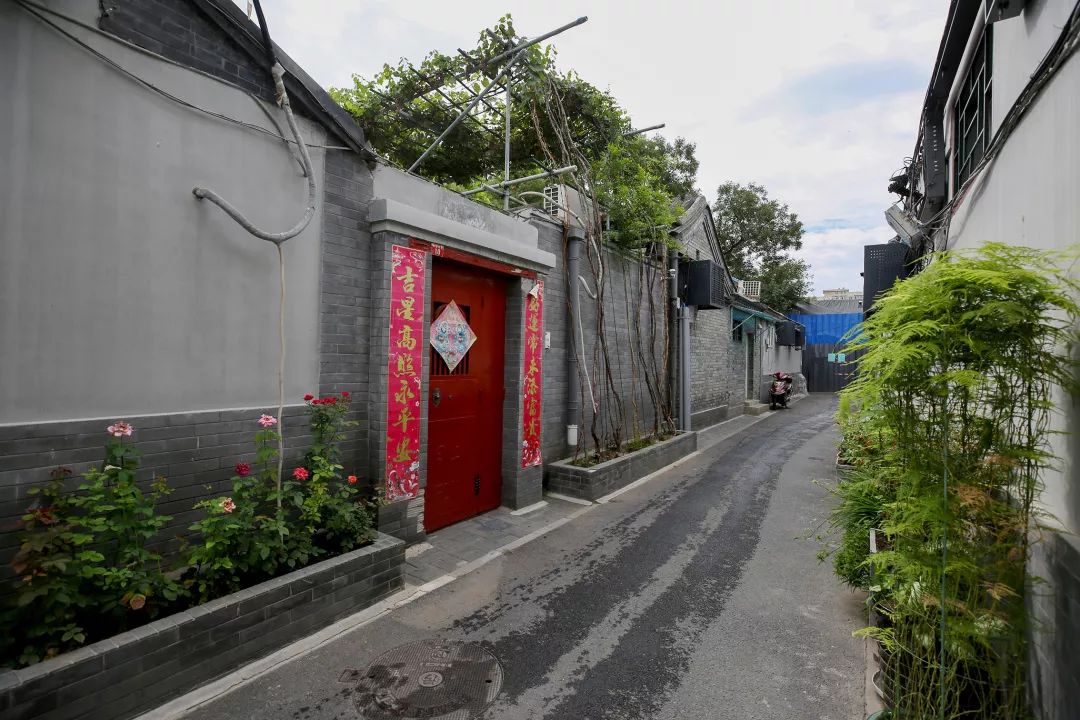 今年全市739条背街小巷花团锦簇（下）