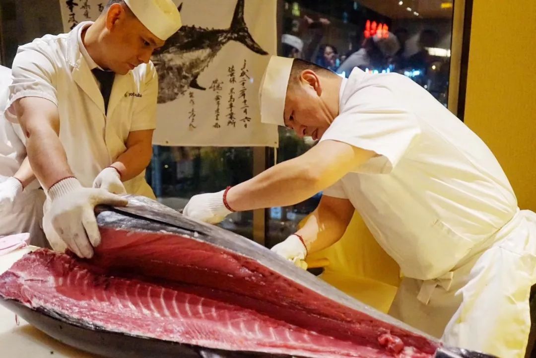 超大蓝鳍金枪鱼吃什么,蓝鳍金枪鱼汉堡