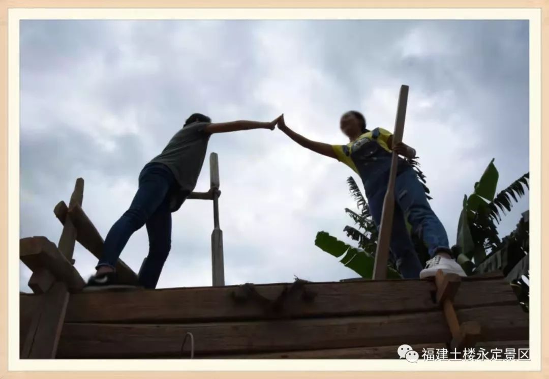 永定土楼柿子攻略,福建永定柿子节云端庆丰收