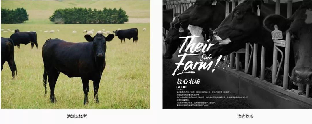 扬州三盛国际广场九田家,三盛九田家黑牛烤肉料理店