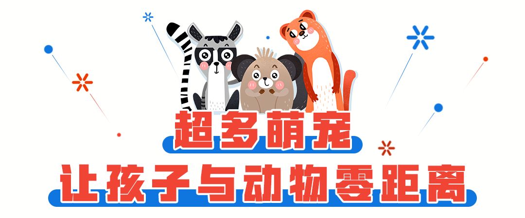 柏乐园附近美食,柏乐园有没有美食