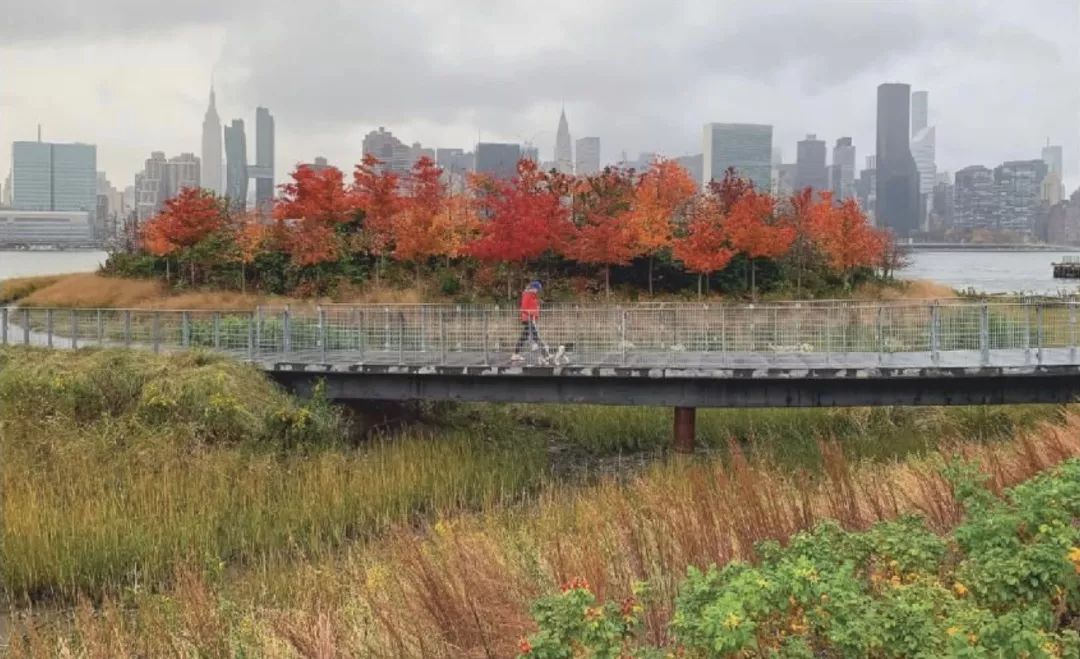 design国际设计大奖,中国设计智造大奖结果