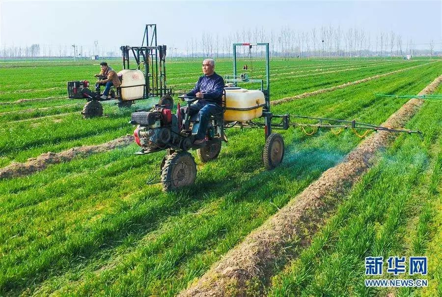 超详细肥料、农药、调节剂混配知识，快收藏