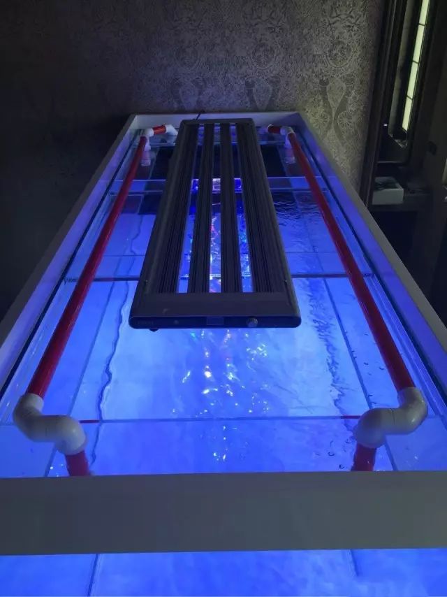 fot多大缸,fot高缸