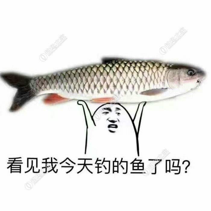 无奈捅了奶鲤窝连竿连得怀疑人生