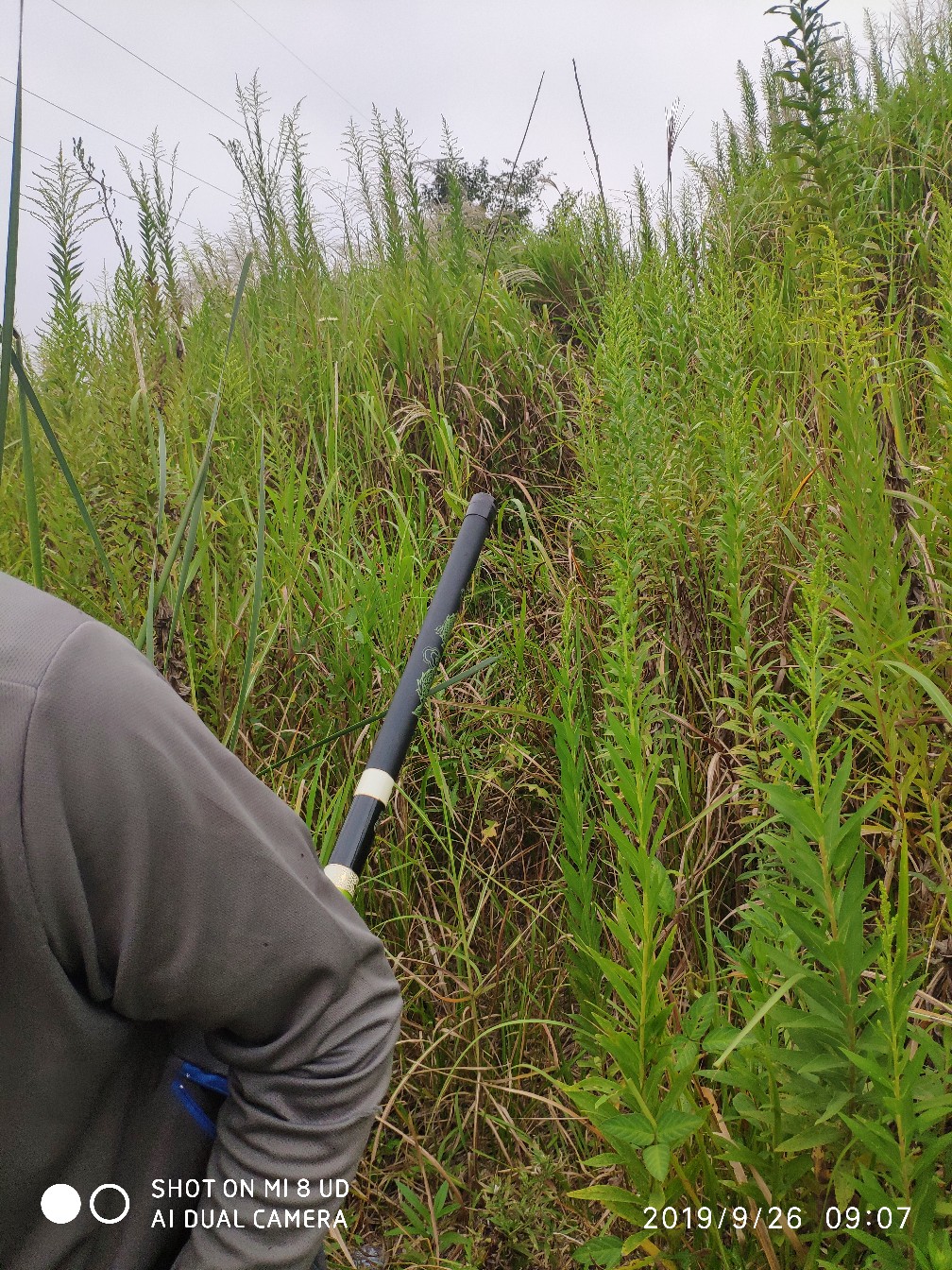 打黑中鱼率,打黑用什么饵中鱼率高