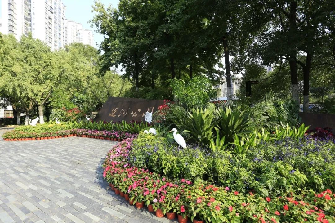 花漾宜昌如此美丽！44万盆鲜花全城绽放