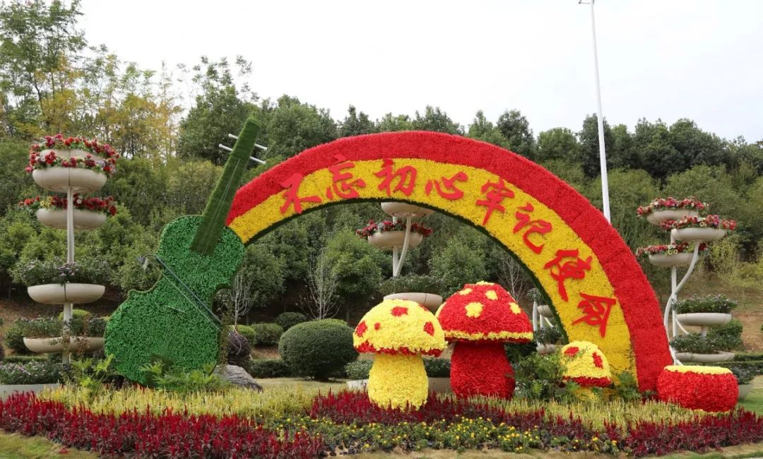 花漾宜昌如此美丽！44万盆鲜花全城绽放