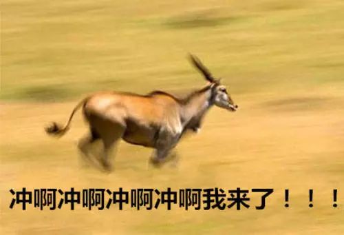 「ECCFC」这群人疯了,不但教我怎么致富,还硬要给我塞礼物