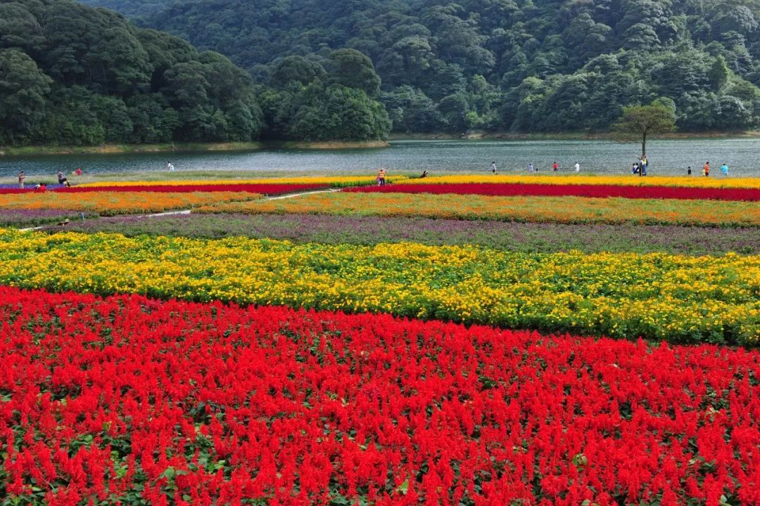 多个景区有优惠，甚至免费！国庆假期首日广州接待近240万游客，公安提醒：别再去这些地方了