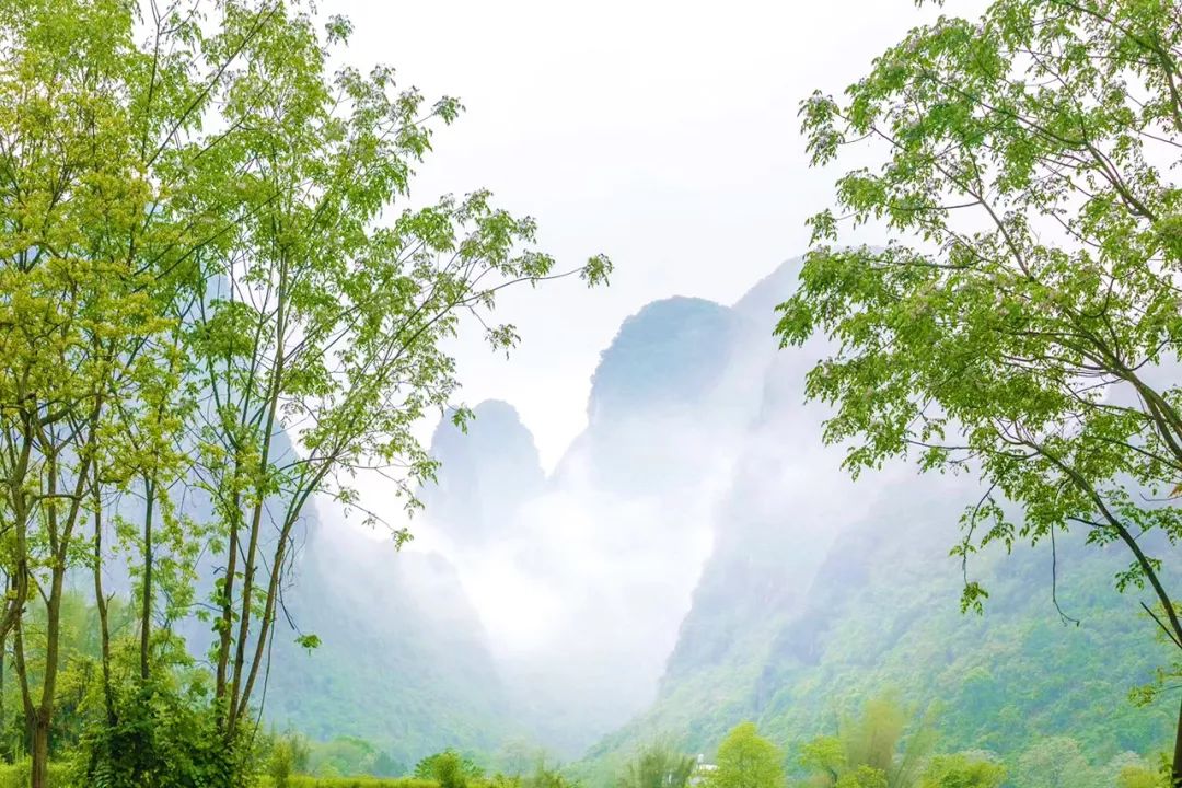 国庆在阳朔度过了不输巴厘岛的假期,全因这家藏在秘境山水里的宝藏酒店