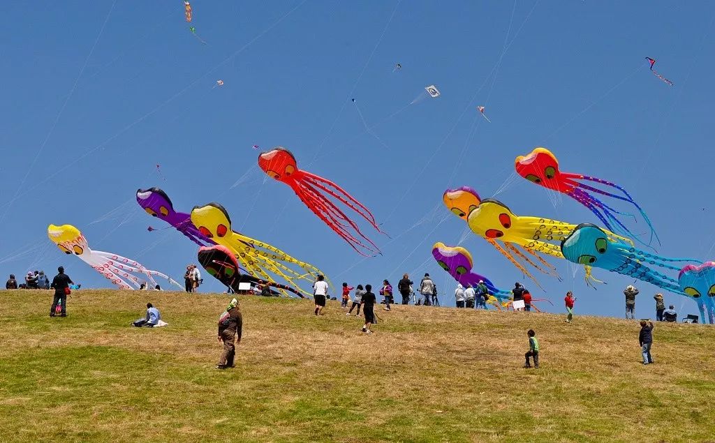 上海风筝大赛,松江举办大型比赛