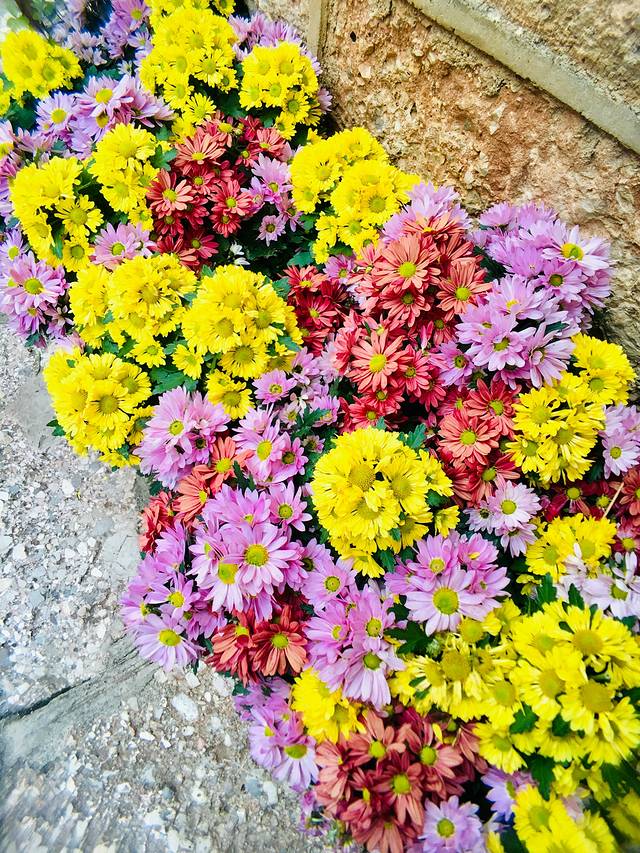 丽江大研花巷美景,丽江大研花巷旅游景点