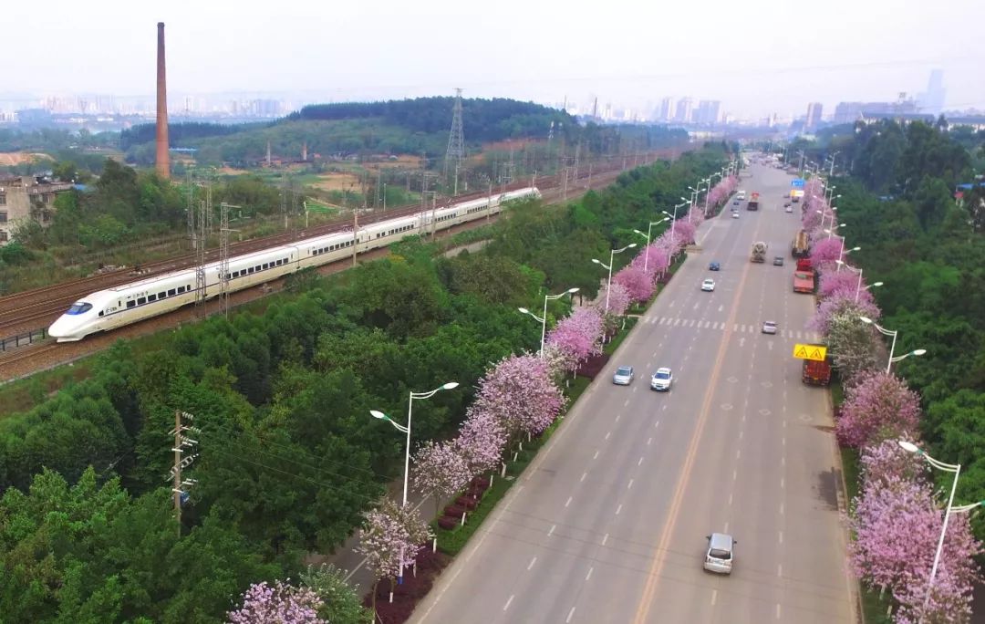 广西全部高铁站实施电子客票,广西铁路电子客票视频