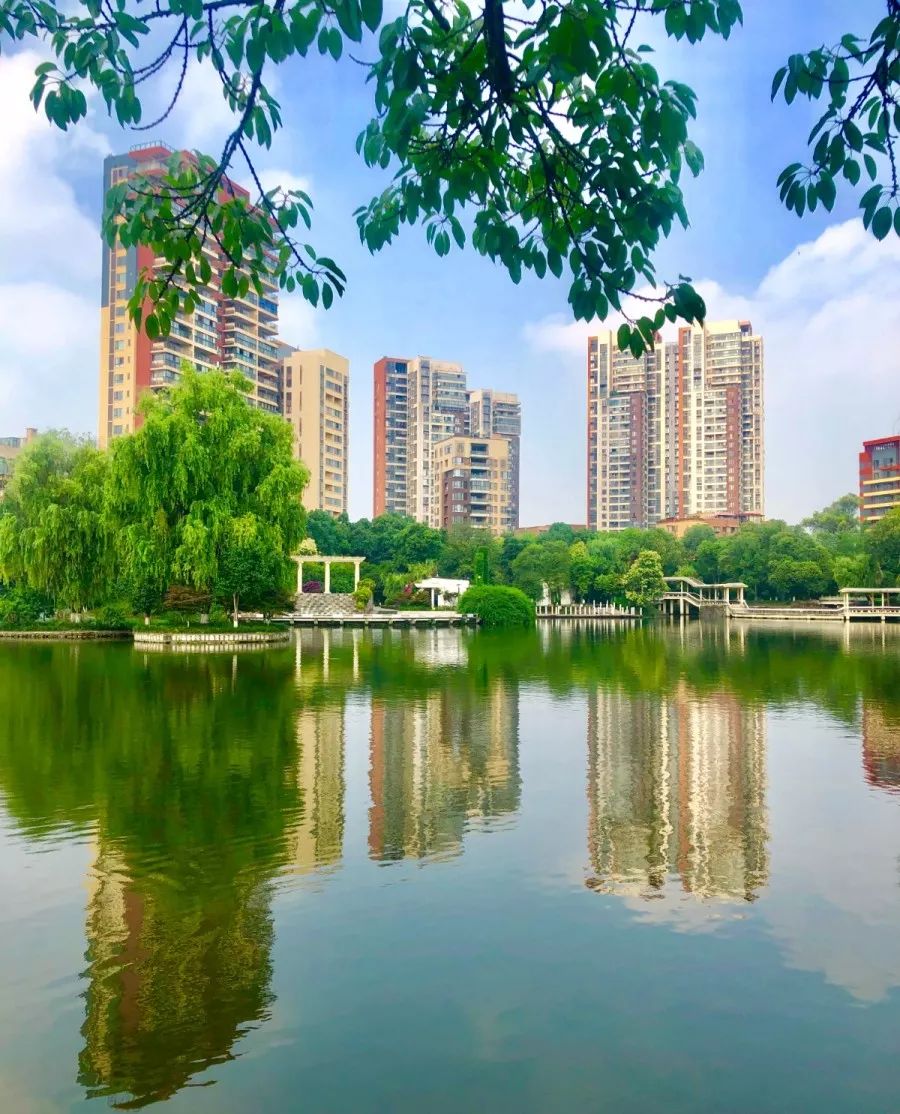 青白江，你凭什么上榜4个“全国百强”？