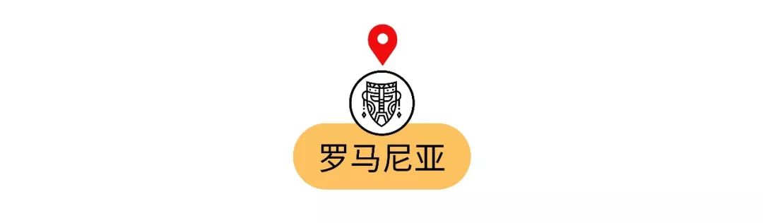 脑子进水才买的车,去国外必买的十种纪念品