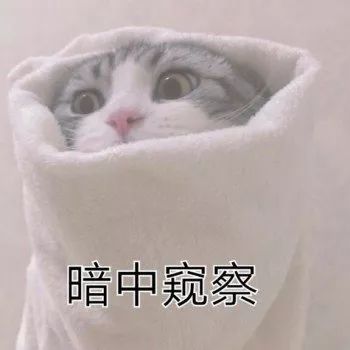 miui全局120hz刷新率,小米11ultra120hz刷新率怎么样