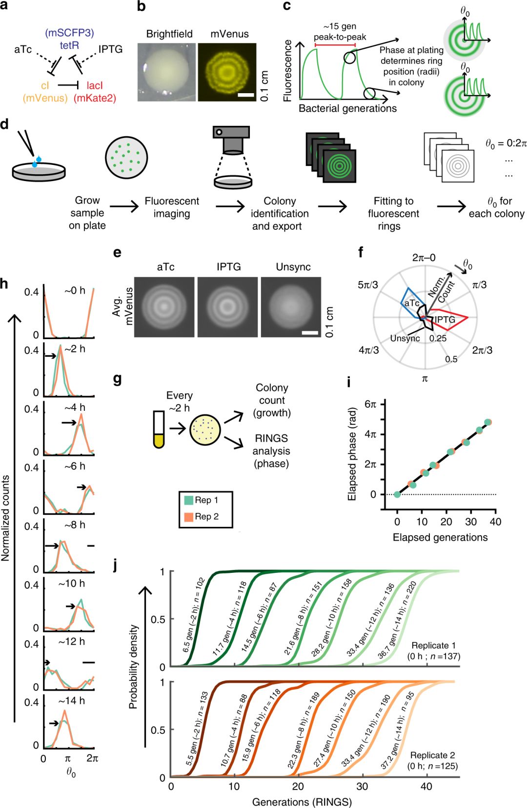 10月,33篇必读微生物研究:癌症、微生物药物、脑肠轴、皮肤-肠道轴、共生病毒、阴道微生物、菌群免疫互作、肠道黏液、粪菌移植