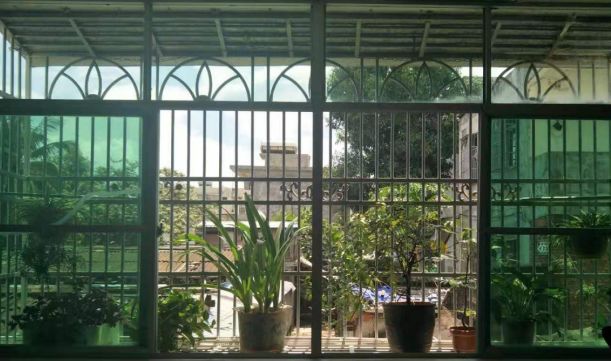 白沙绿色家庭,白沙绿色家园