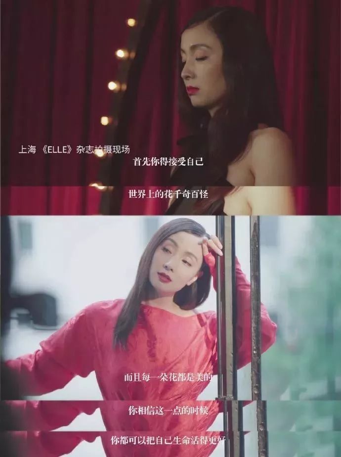 陶虹袁泉照片,袁泉陶虹年轻照片