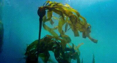 脸上搓出3斤泥！难怪又黄又暗又黑头！10秒给脸蛋“剥壳”，厉害