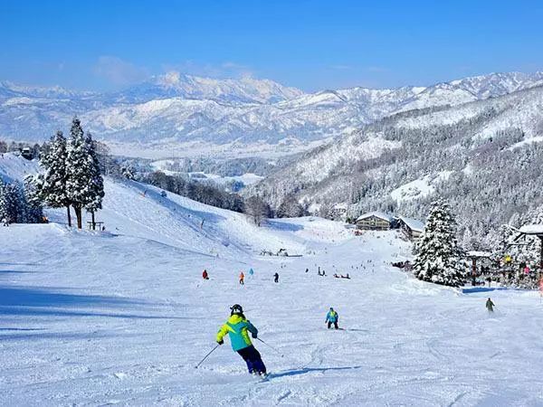 日本七日游温泉酒店,去日本旅游100次