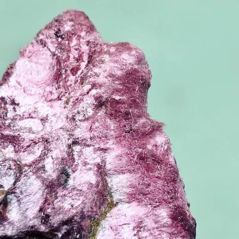 谁还不是个小可爱呢下一句,谁还不是小可爱