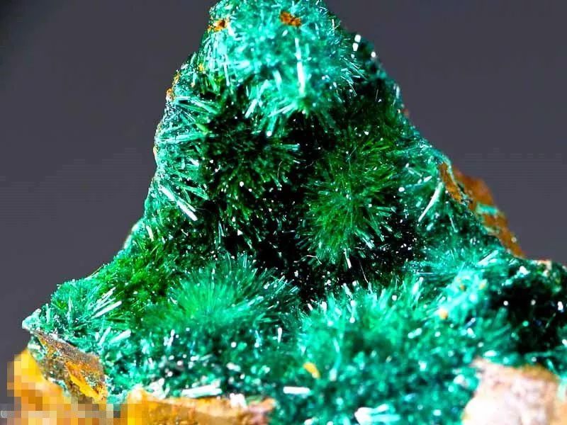 谁还不是个小可爱呢下一句,谁还不是小可爱