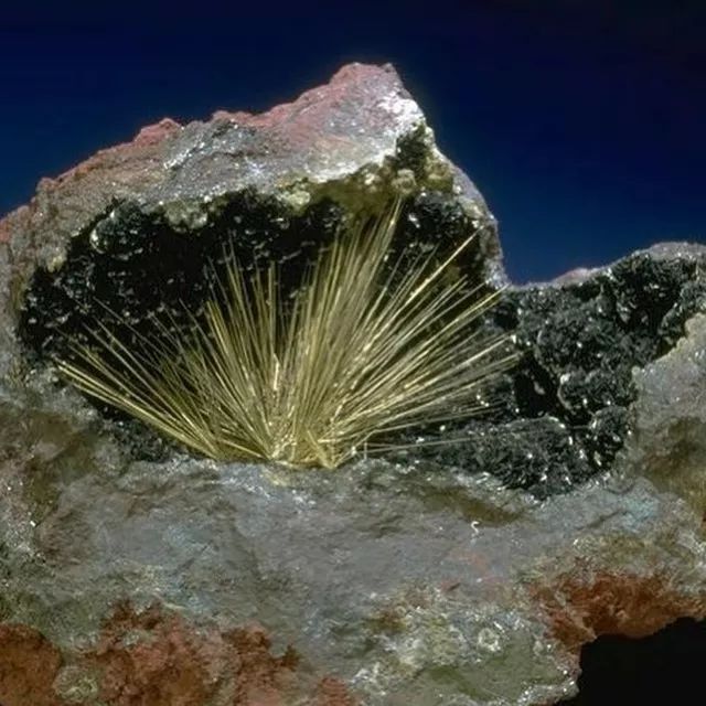 谁还不是个小可爱文案,谁小时候还不是个小可爱