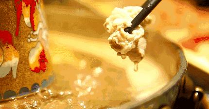 吃火锅常识图片,吃火锅必备冷知识