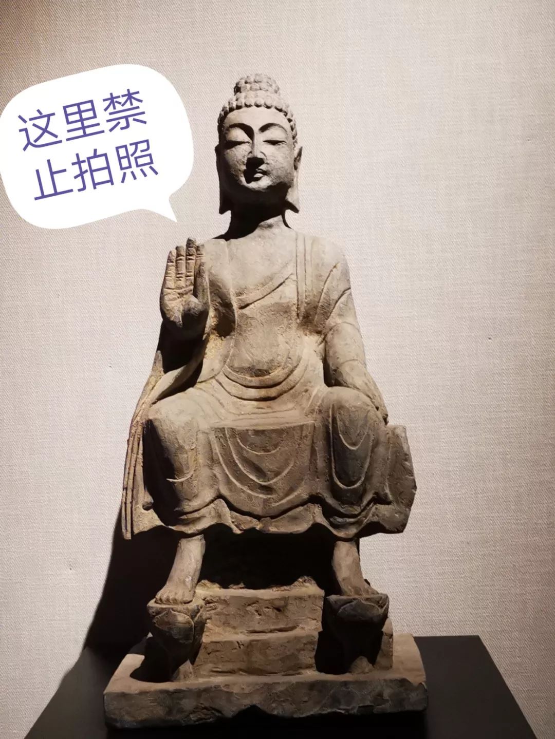 重庆大学建立了一个赝品博物馆,如何看待重庆大学赝品博物馆