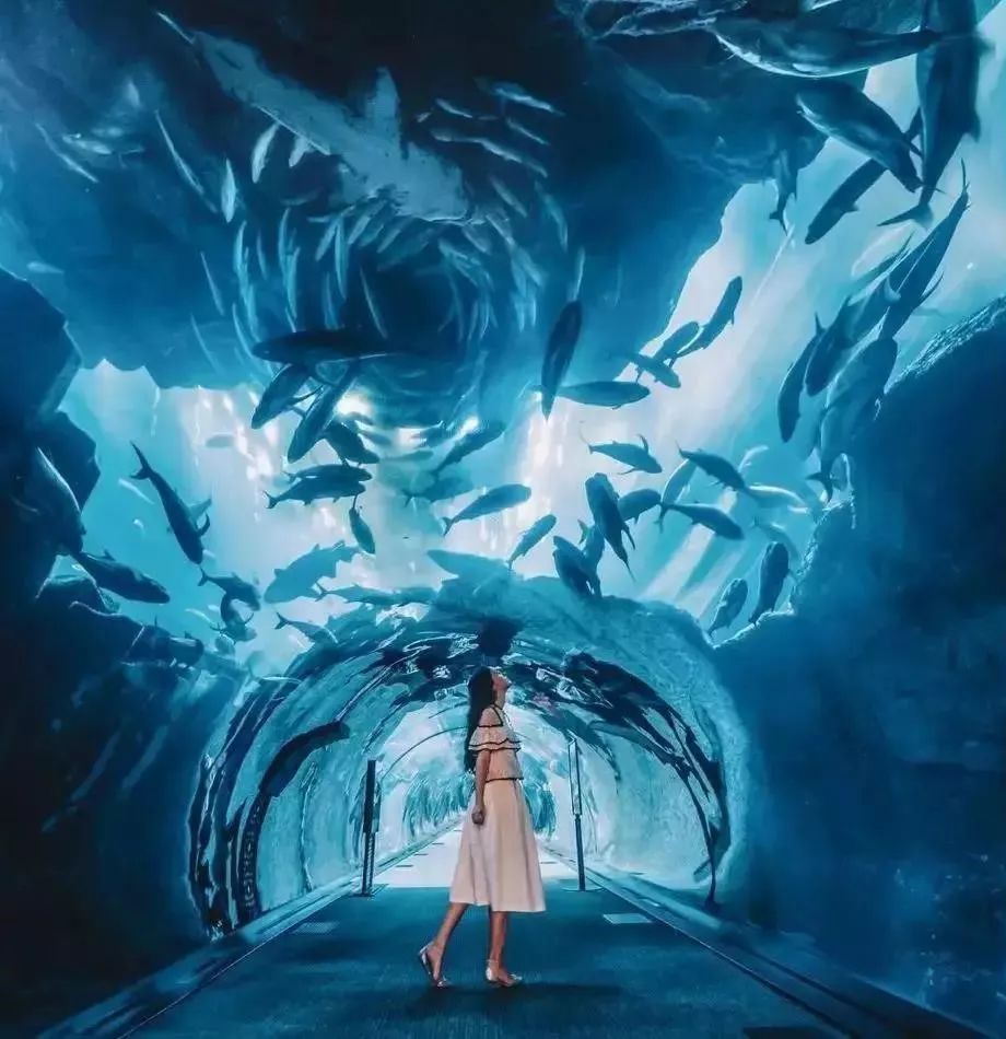 全球最值得去的10个商场,盘点全国顶级商场