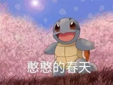 为什么叫杰尼龟,为什么杰尼龟被孤立