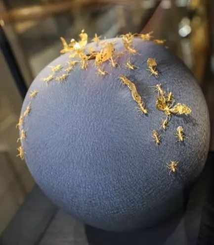 豫园老庙黄金银楼,豫园里黄金楼图片