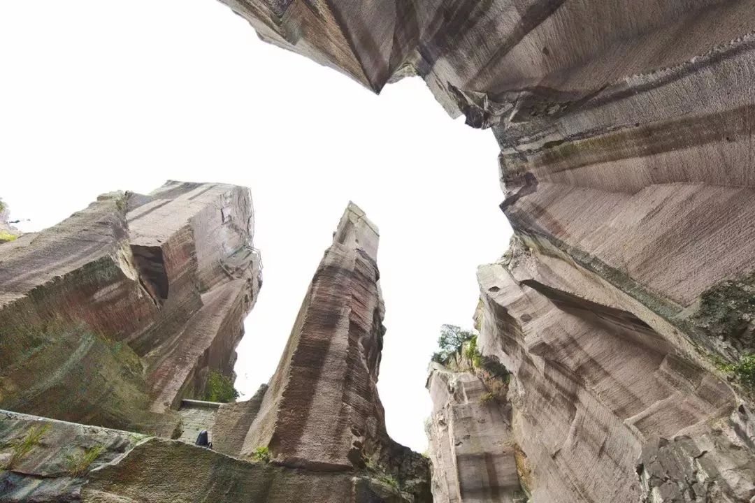 新“仙岛十景”｜岱山会为游客带来怎样的惊喜？