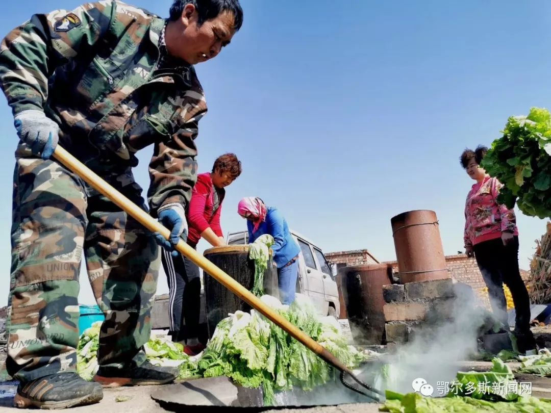 又到腌酸菜的季节,又到腌酸菜的时候