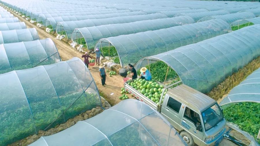 瀹夊窘姹犲窞鍐滄潙鐢熸椿璁板綍,姹犲窞娓哥帺鏃ヨ