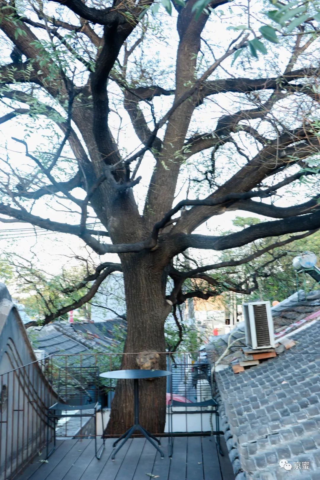 这家隐藏在胡同里的民宿不简单!邓伦都来打卡,你想住吗?,福利