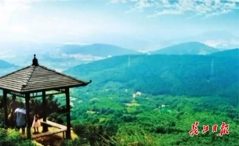 军运会开幕啦！去青山绿水间看比赛