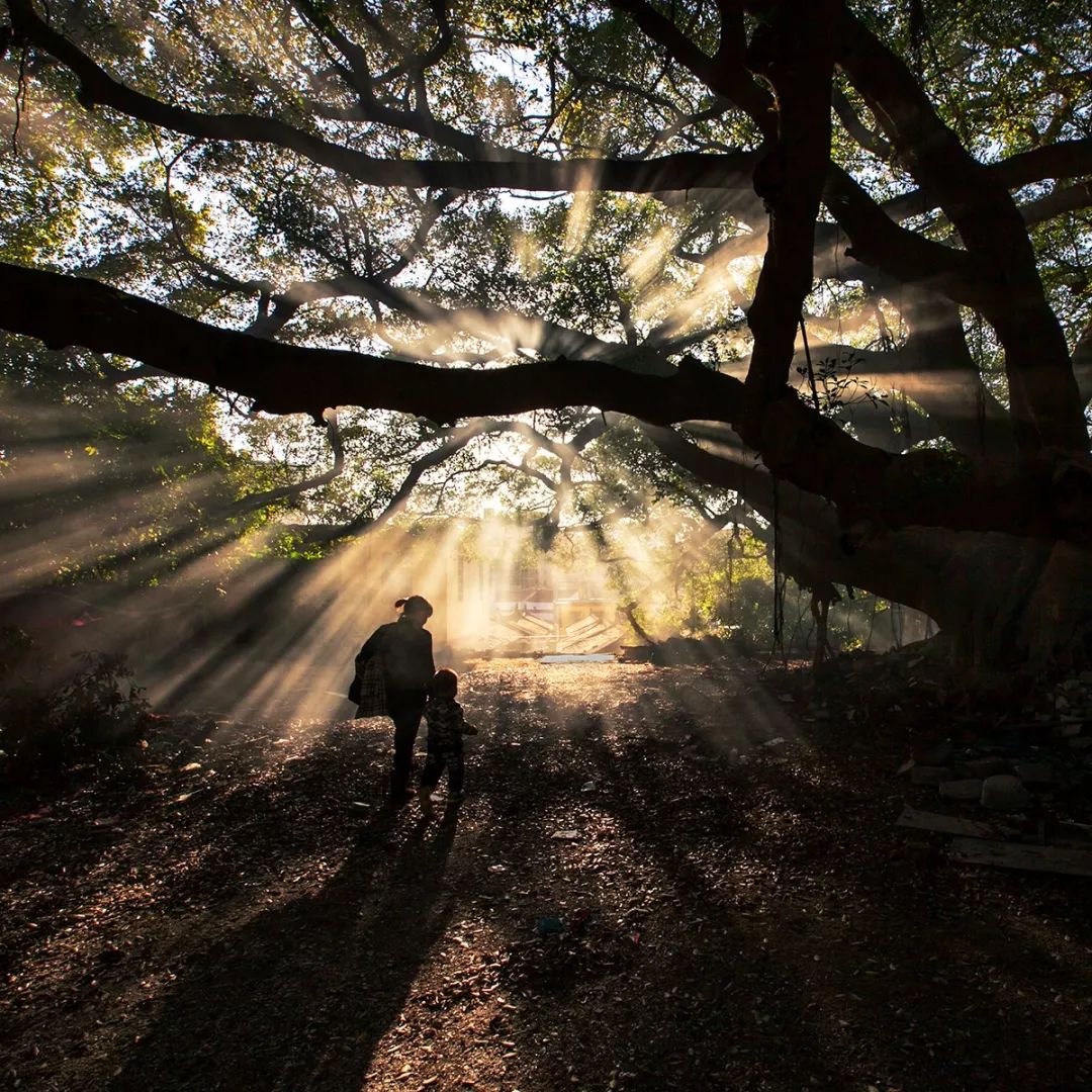 福建漳州为什么今年这么冷,福建漳州为什么老是半夜零点左右放鞭炮