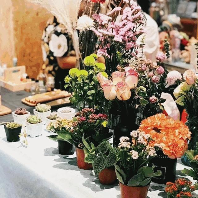 鼓楼区要给全福州人送“福”了！文末有福利