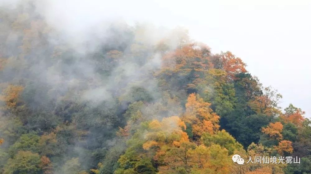 秋天的川西彩林,川西彩林最佳观赏地点