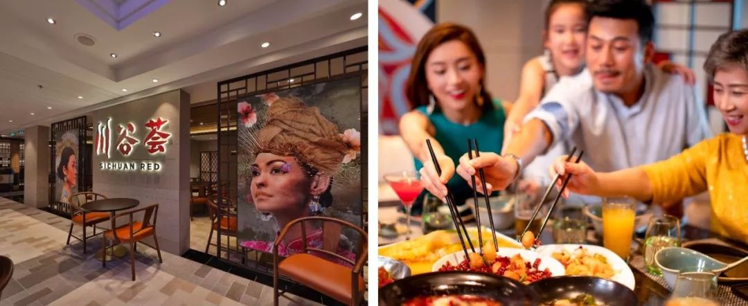 双11旅游爆款清单,适合旅行的双11