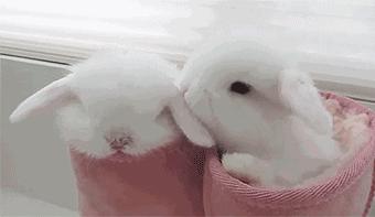 耳朵发热是有人想你吗,耳朵莫名其妙的发热是有人想吗