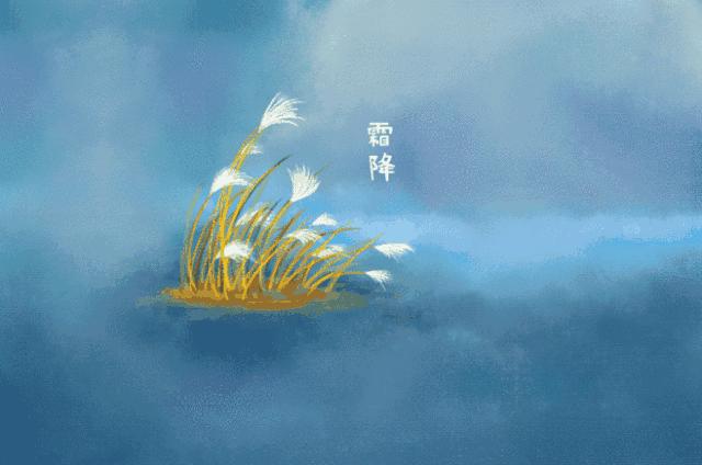 霜降接踵而至冷空气席卷而来,霜降已到冷空气欲来