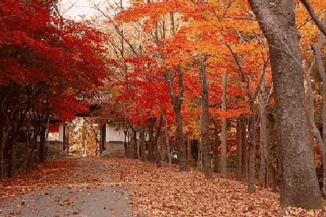 人均200一日游,100元一晚自驾游民宿