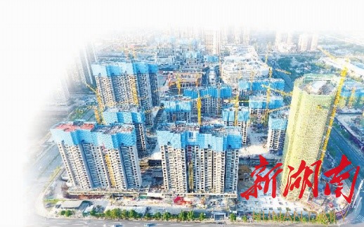 天心区基层党建,东山区党建