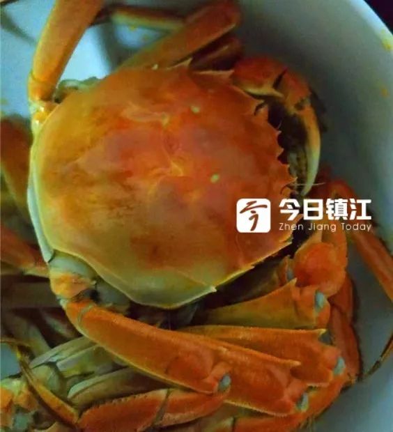 正宗三门青蟹膏蟹,三门青蟹膏蟹香辣蟹