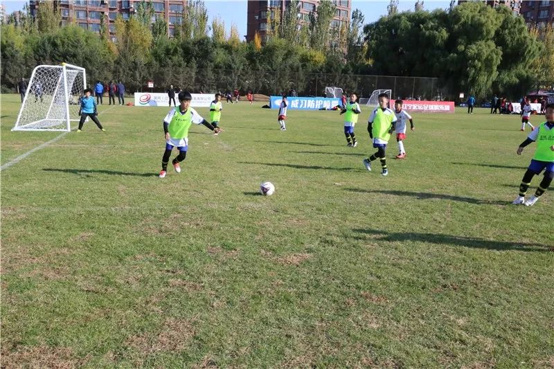 「青训」秋季精英系列赛进入首个比赛日铁西区中小学足球赛产生冠军
